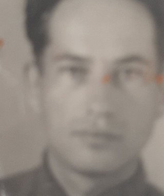 Львов Михаил Семенович