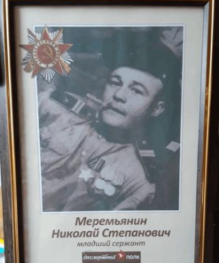 Меремьянин Николай Степанович