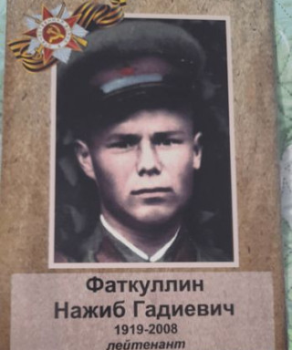 Фаткуллин Нажиб Гадиевич