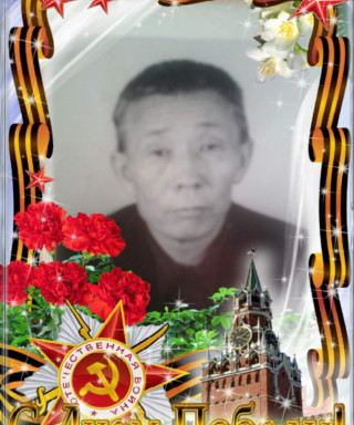 Нуреев Шама Нуреевич