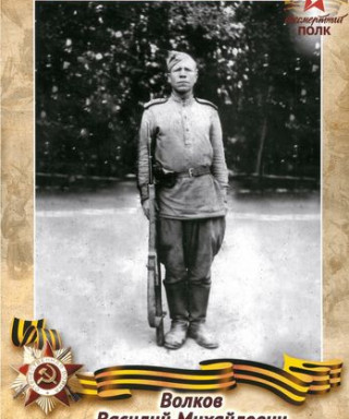 Волков Василий Михайлович