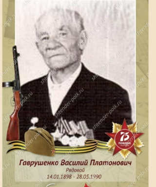 Гаврушенко Василий Платонович