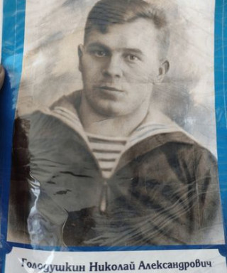 Голодушкин Николай Александрович