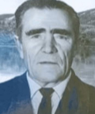 Дмитриев Николай Степанович