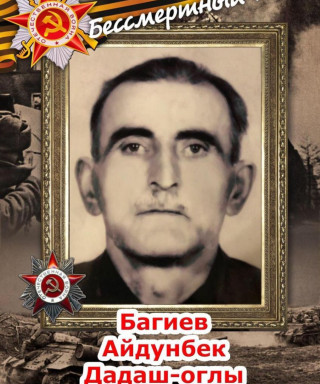 Багиев Айдунбек Дадашоглы