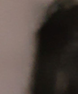 Лосева Надежда Федоровна