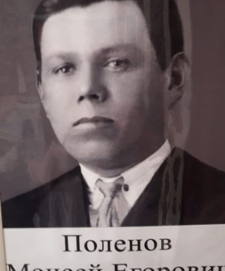 Поленов Моисей Егорович