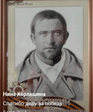 Доронкин Александр Елисеевич