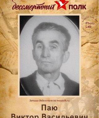 Паю Виктор Васильевич