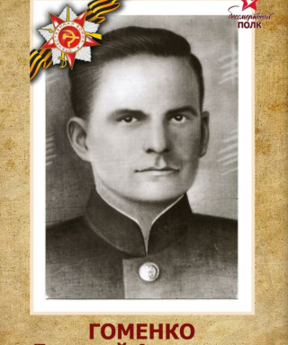Гоменко Дмитрий Андреевич