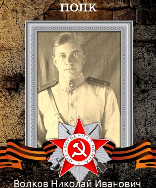 Волков Николай Иванович