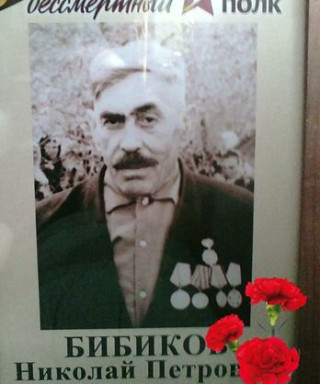 Бибиков Николай Петрович