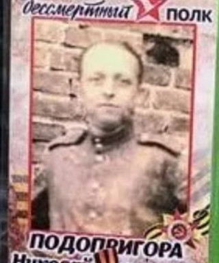 Подопригора Николай