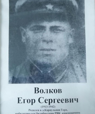 Волков Егор Сергеевич