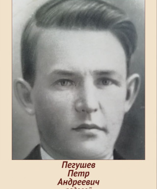 Пегушев Петр Андреевич