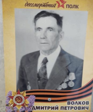 Волков Дмитрий Петрович