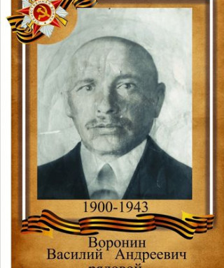 Воронин Василий Андреевич