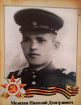 Моисеев Николай Дмитриевич
