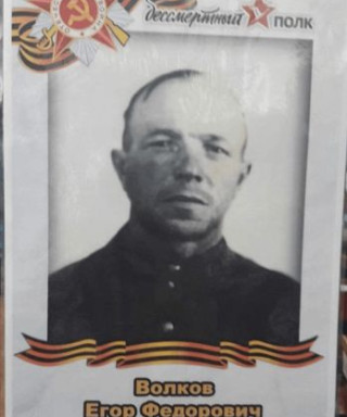 Волков Егор Фёдорович