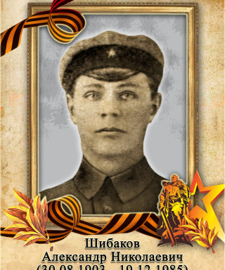 Шибаков Александр николаевич