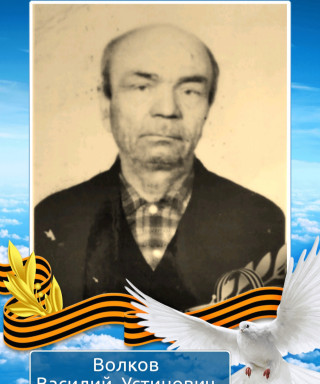 Волков Василий Устинович