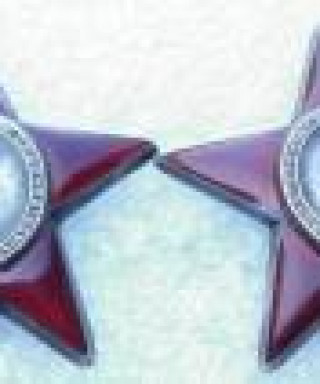 Каргин Дмитрий Алексеевич