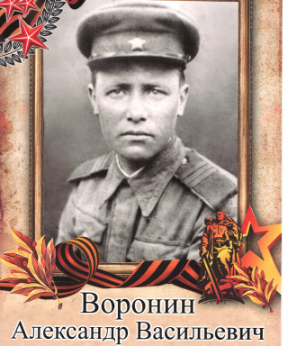 Воронин Александр Васильевич