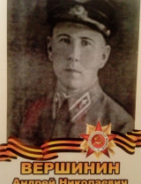 Вершинин Андрей Николаевич