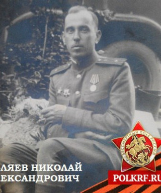 Беляев Николай Александрович